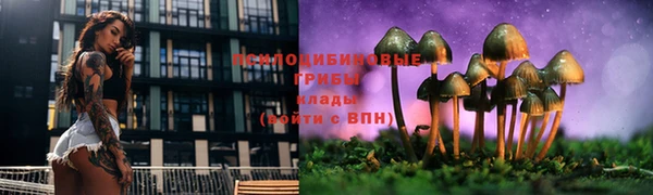 2c-b Абдулино