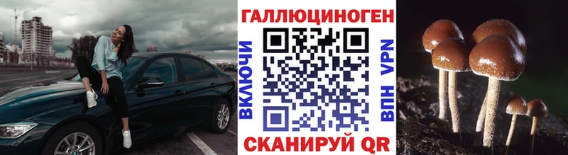 Псилоцибиновые грибы GOLDEN TEACHER  Углегорск 